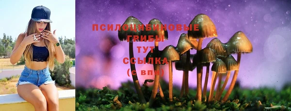 jwh Богородск