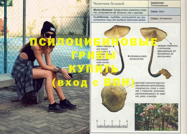 амфетамин Богородицк