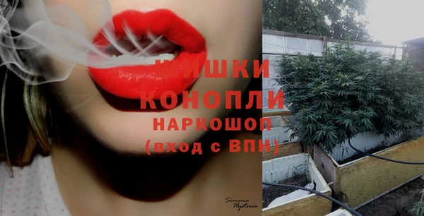 мяу мяу мука Бородино