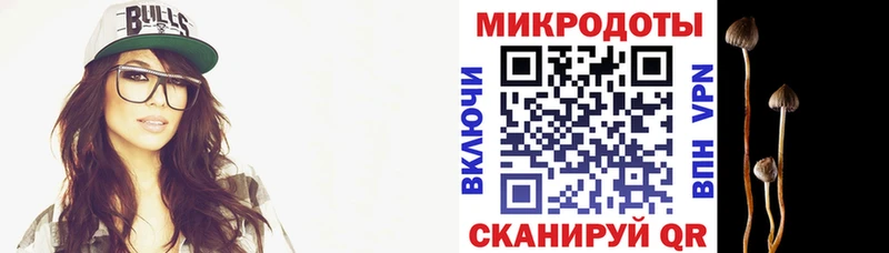 Купить  Мариинский Посад  Псилоцибиновые грибы мицелий 