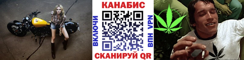 Купить  Мариинский Посад  Каннабис ГИДРОПОН 